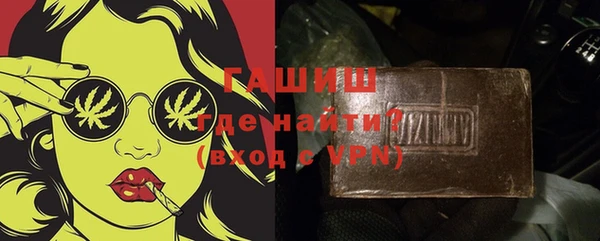 индика Михайловск