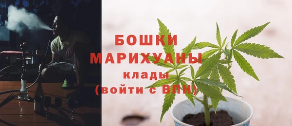 шишки Абдулино